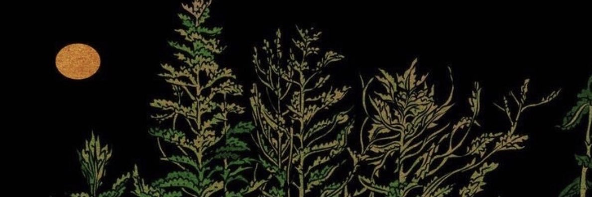 audrey banner