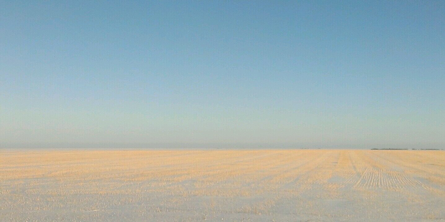 Jon Petrychyn banner