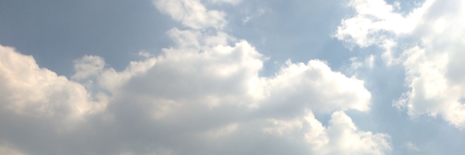 chitogechips's profile banner image