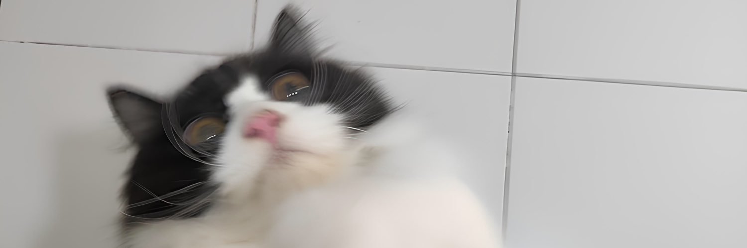vinnadz's profile banner image