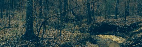 thebryc3isright Profile Banner