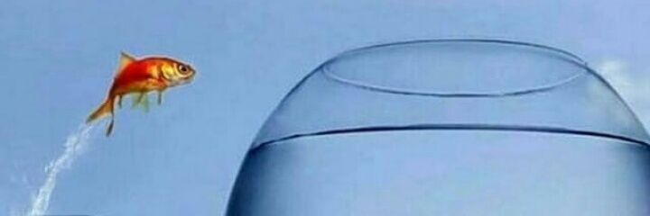 Shoaib_4edit's profile banner image