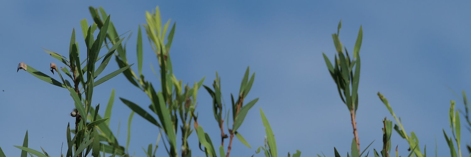 HarryDog15's profile banner image