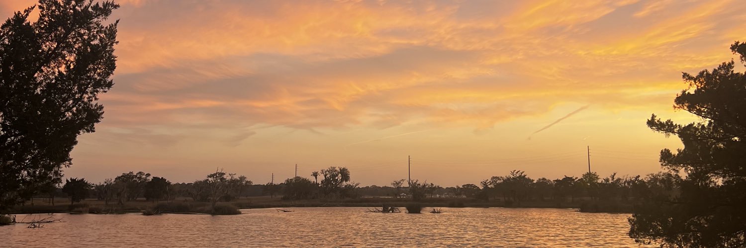 𝙖𝙨𝙝𝙡𝙚𝙮 ♡ banner