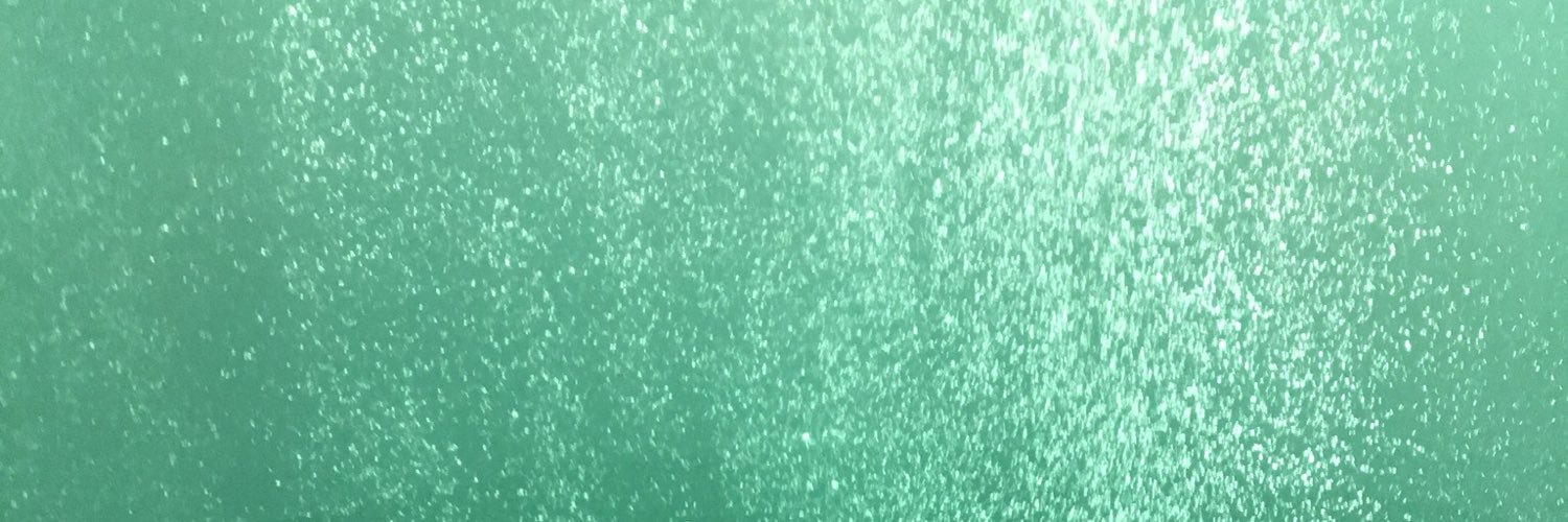 StephLievano's profile banner image