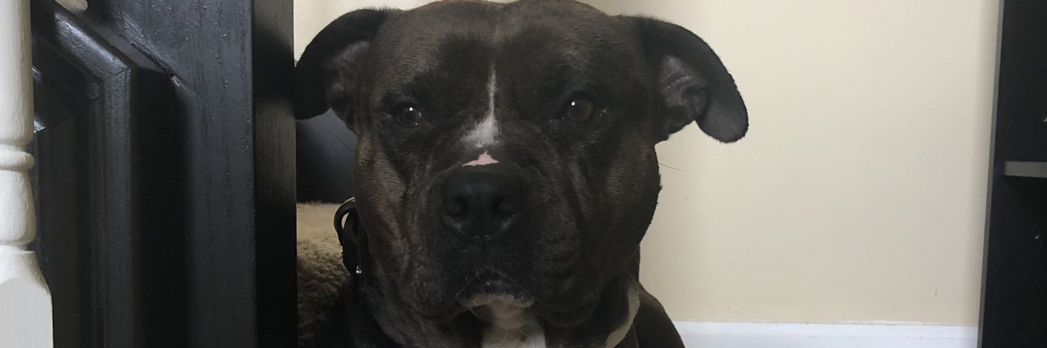 TytheKxdd's profile banner image