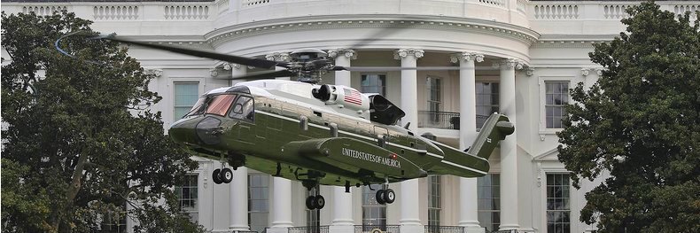 "Dog❌⭐ ⭐ ⭐ ❌" banner