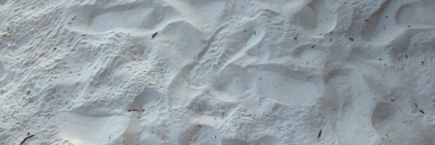 est_ishie's profile banner image
