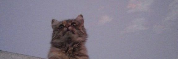 epsiloncancri's profile banner image