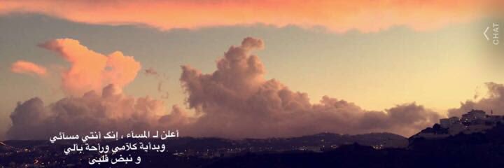سعيد المالح banner