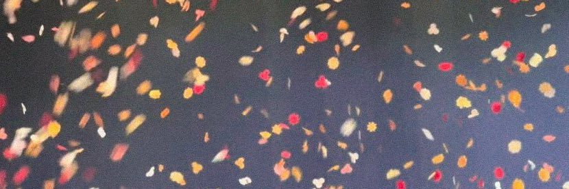 _antonym_'s profile banner image