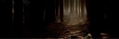 CalamitousBlaze's profile banner image