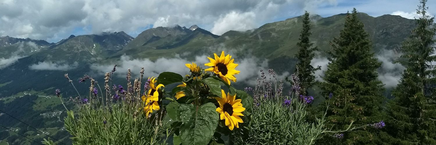 helenapples's profile banner image