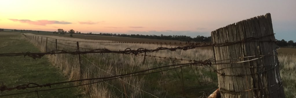 charleyd3556's profile banner image