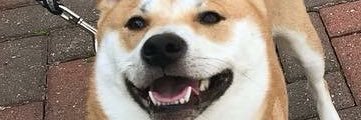 erikaromanos's profile banner image