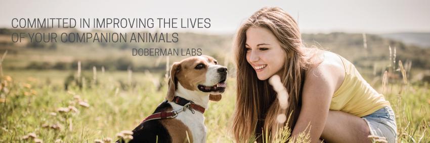 DobermanLabs's profile banner image