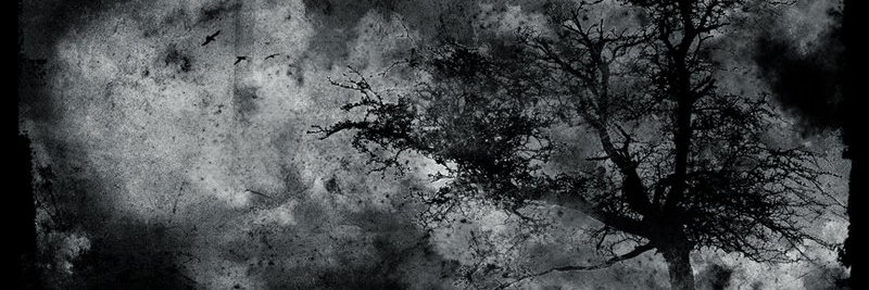 baphy's profile banner image