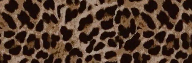 dialjforjo's profile banner image