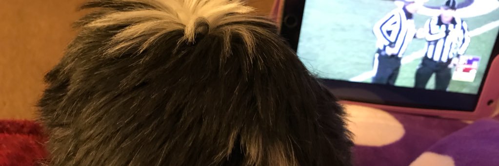 Lulukat's profile banner image