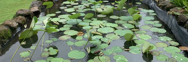 dpsingh_sbimf Profile Banner