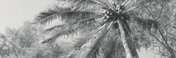 nikalric Profile Banner