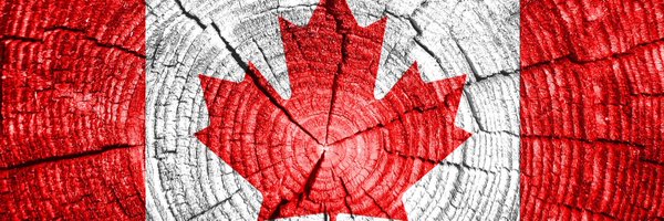 TaniaLouis16 Profile Banner