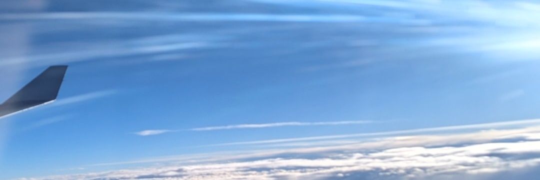 bluemoon_0502's profile banner image