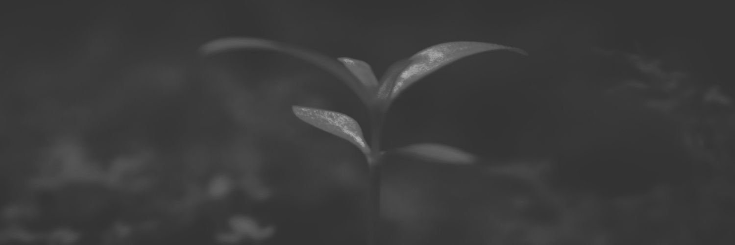 kkxx_ox banner