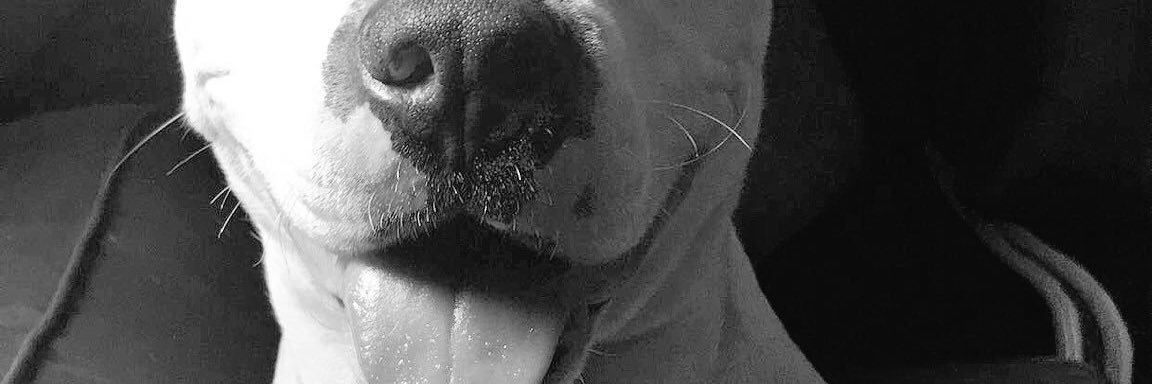 Cinthiavsqz's profile banner image