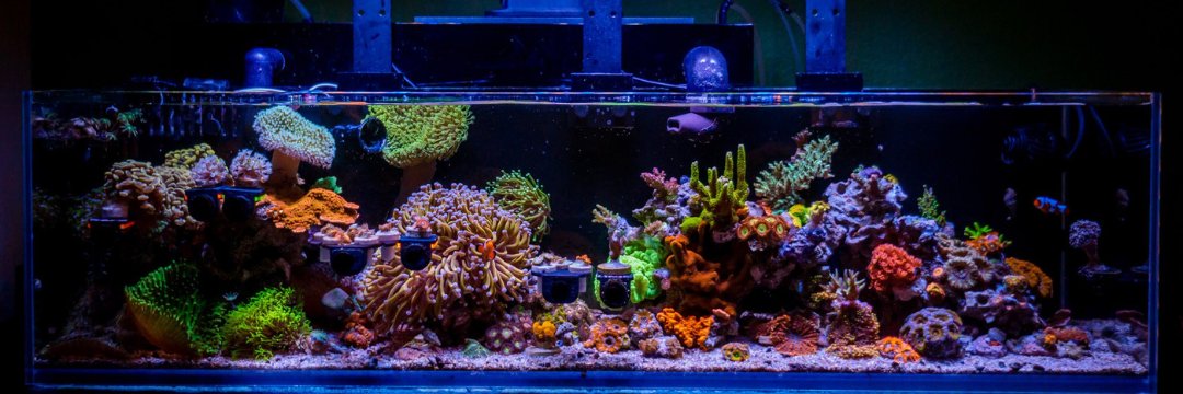 OceanboxDesigns's profile banner image