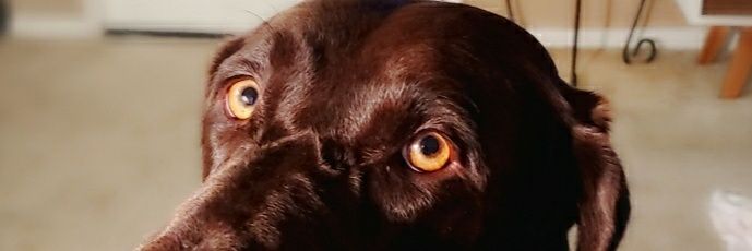 LucyDuecy2C's profile banner image