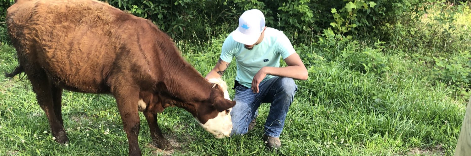 treyscoles's profile banner image