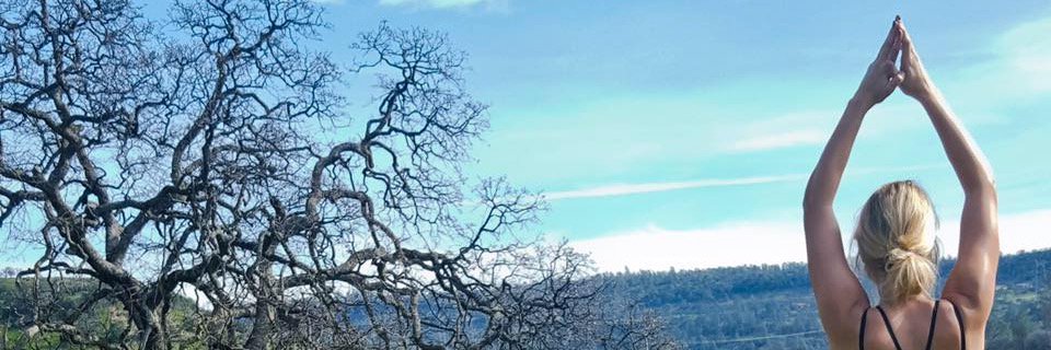 Delphineslife's profile banner image