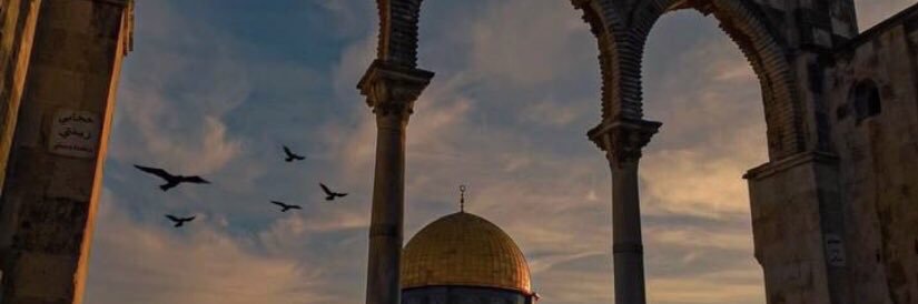 abohamed0502501's profile banner image