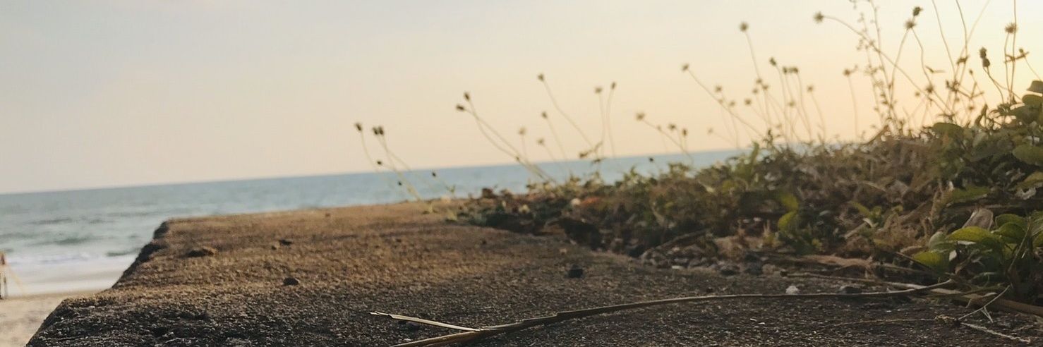 N' banner