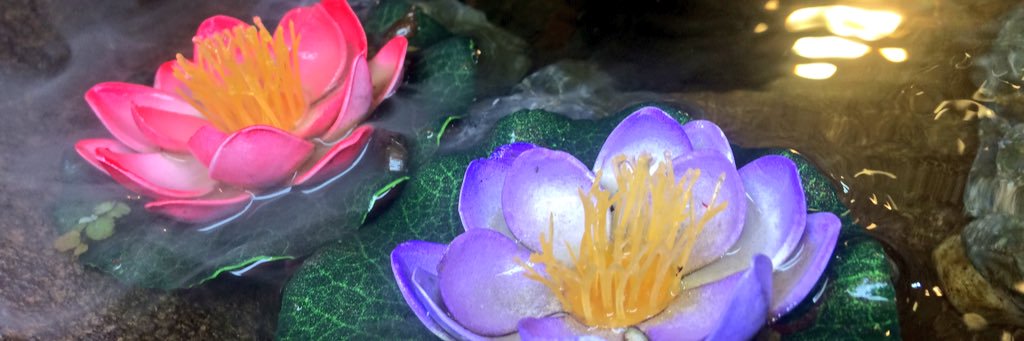 4126_1126's profile banner image
