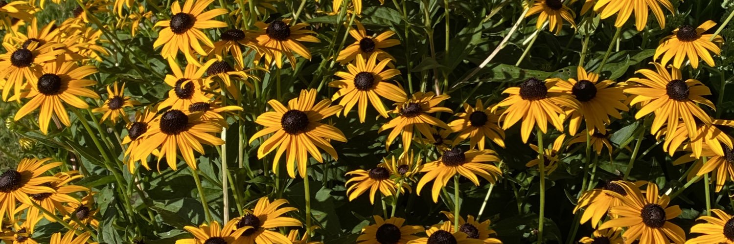 cms922122's profile banner image