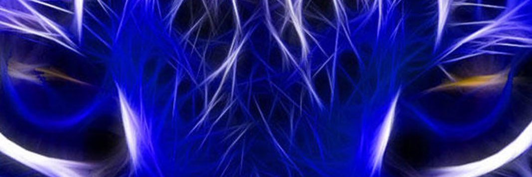 7667Bucchi's profile banner image