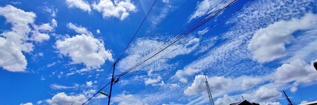 jungaru_'s profile banner image
