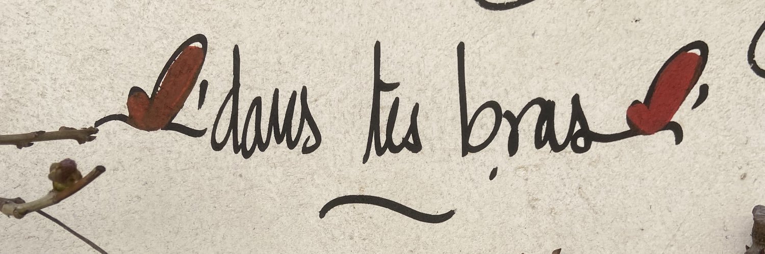 iwsuhtfly's profile banner image