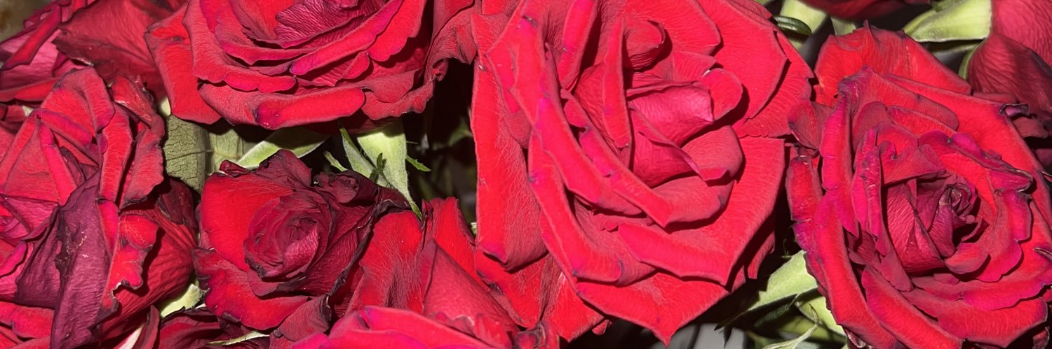 fxdumaa's profile banner image
