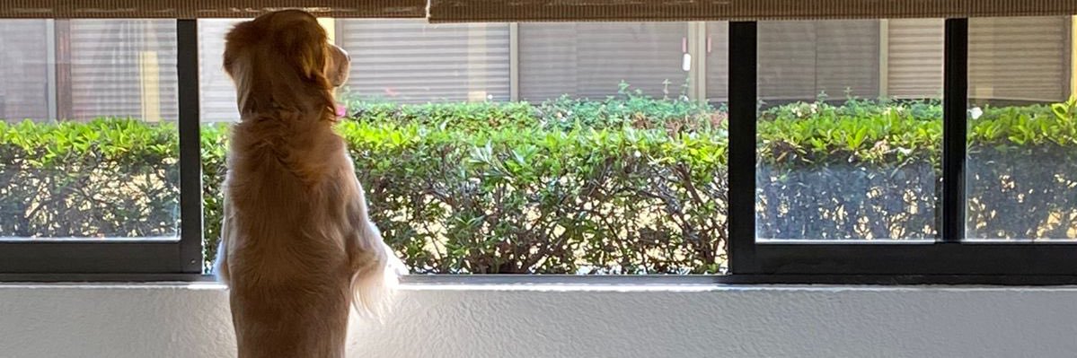 LPLoco1's profile banner image