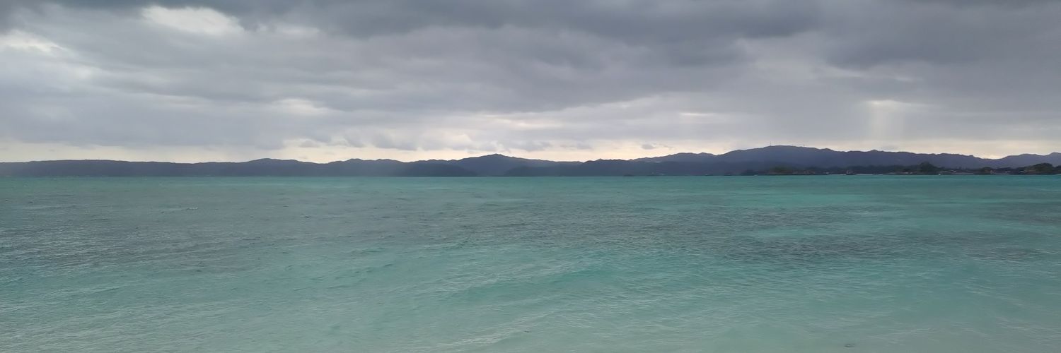 RISINGSTORM0612's profile banner image
