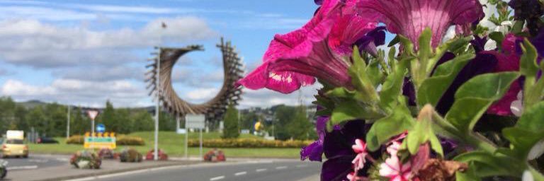 LK Tidy Towns banner