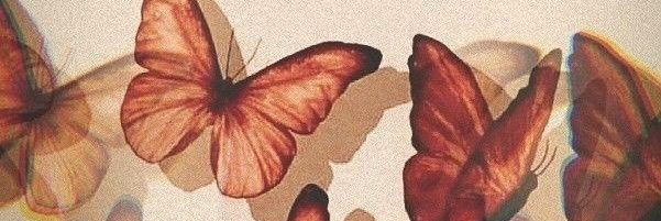 sse_31's profile banner image
