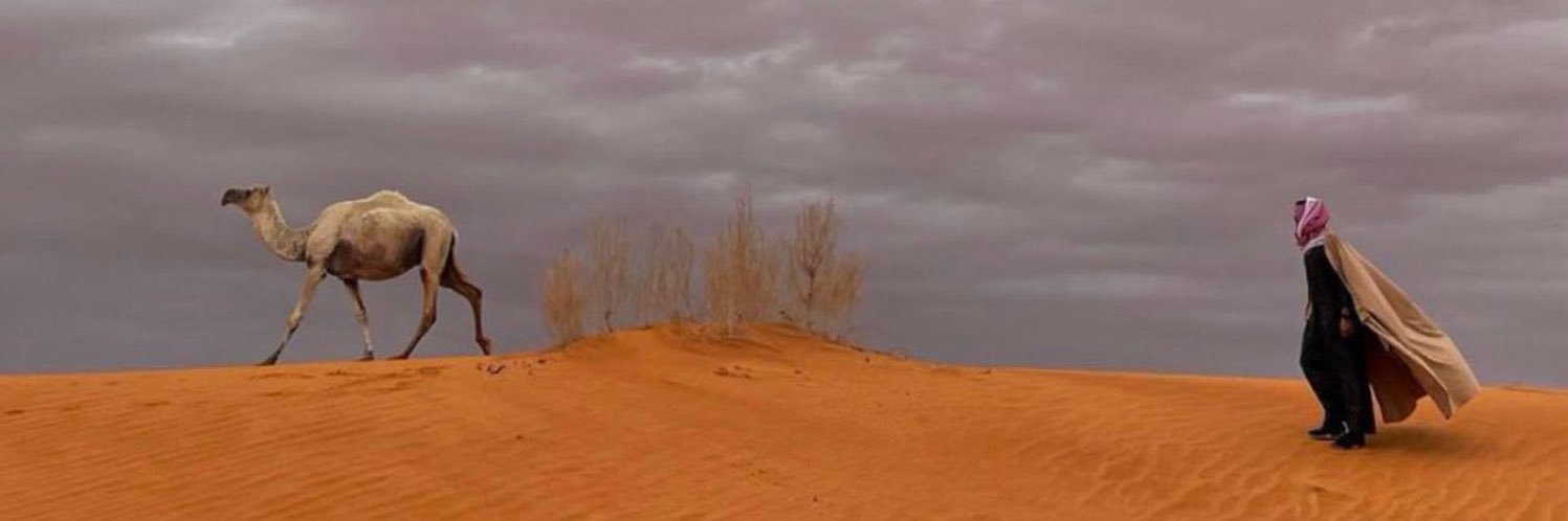 مشعل الدوسري banner