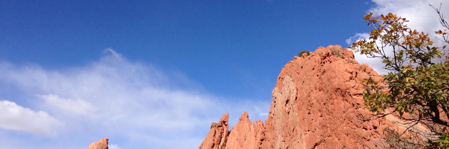 steph_willett's profile banner image