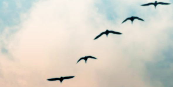 DamnRealQuote's profile banner image