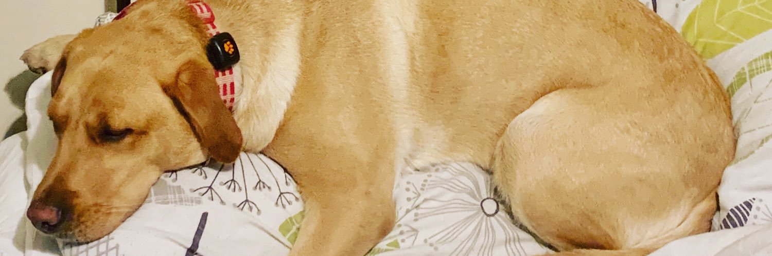 Tina Karen smith banner
