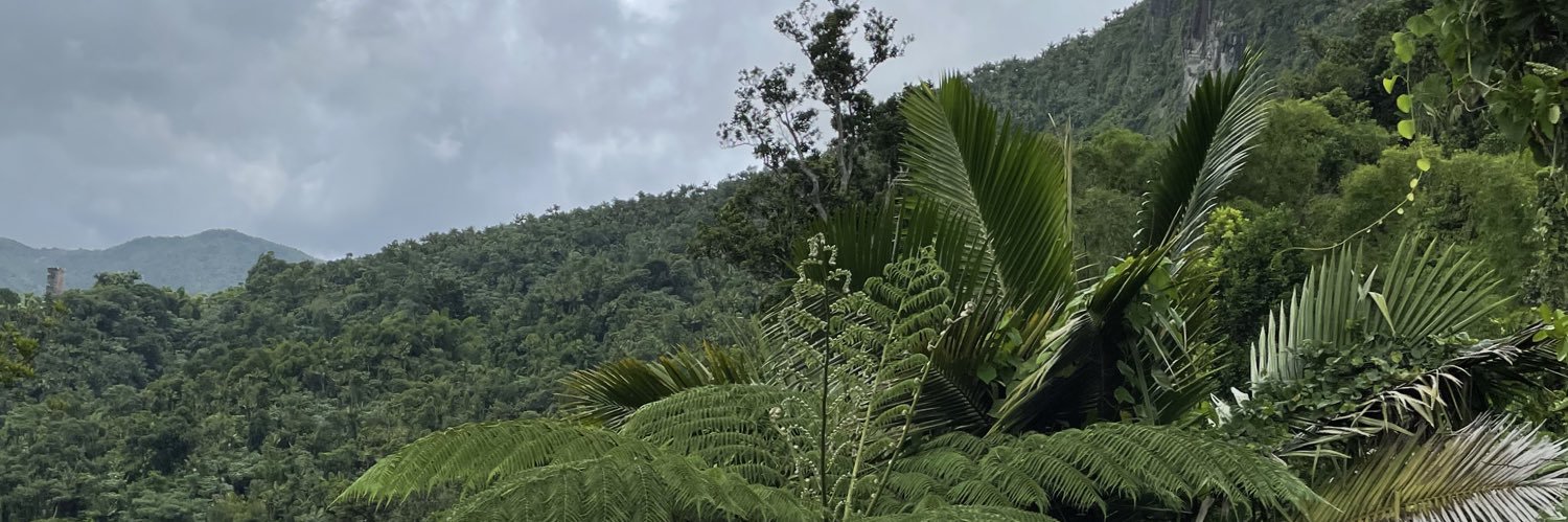 desireeisabel's profile banner image